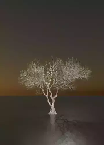 Arbol Tenebroso - Dark Tree 3D model