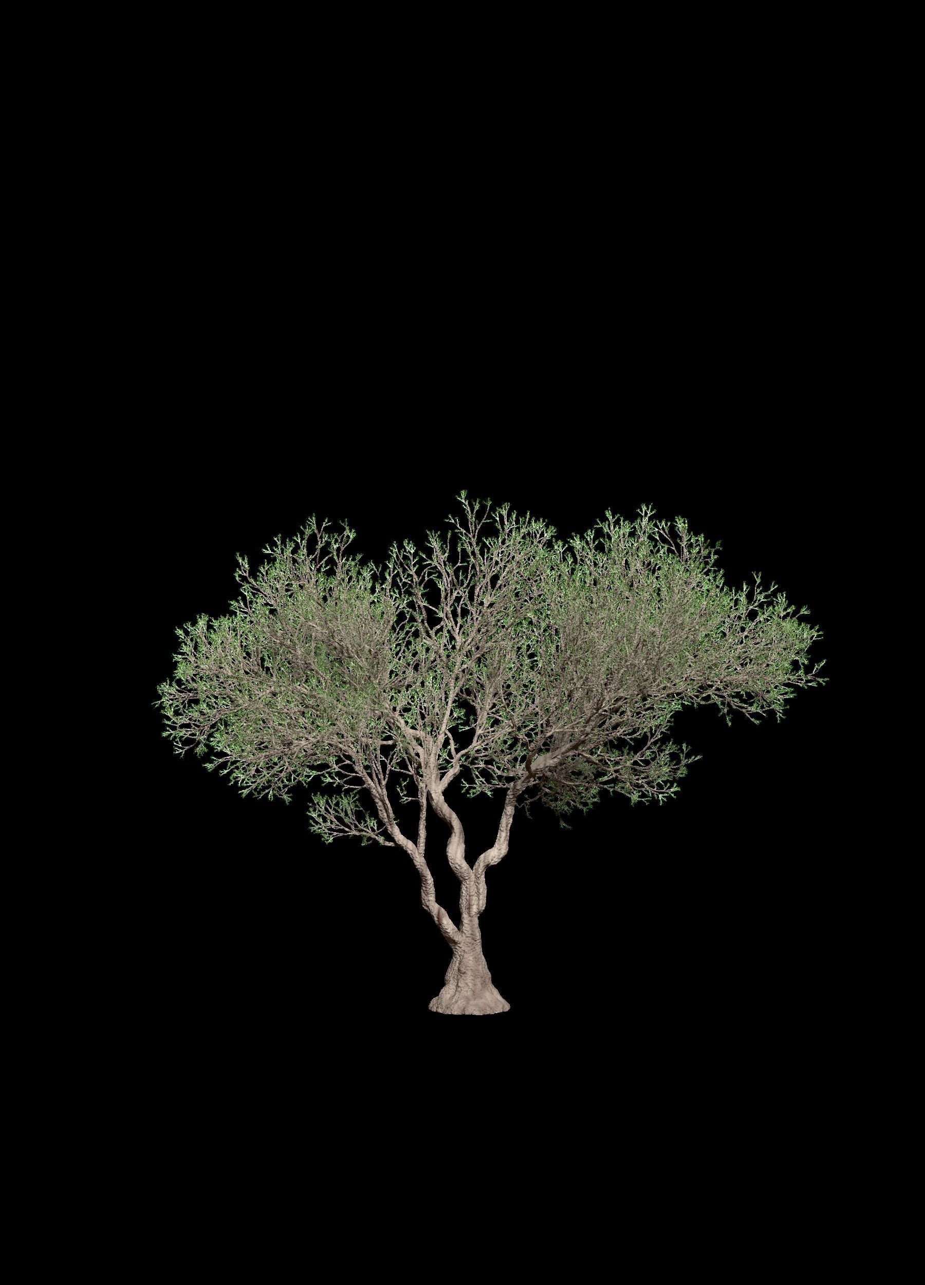 Arbol Tenebroso - Dark Tree 3D model_2