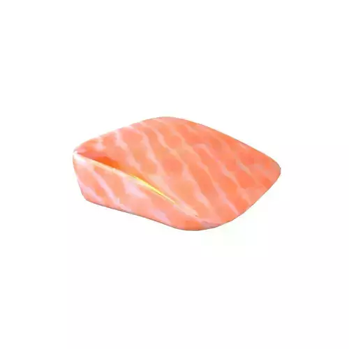 Salmon Sashimi v1 001 Low-poly 3D model