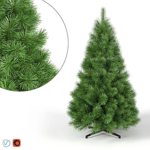 Christmas Tree 5 feet 3D model