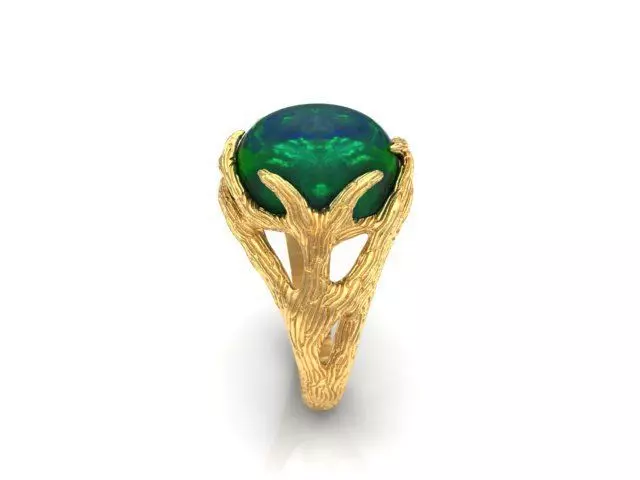 ring texture wood 3D print model_0