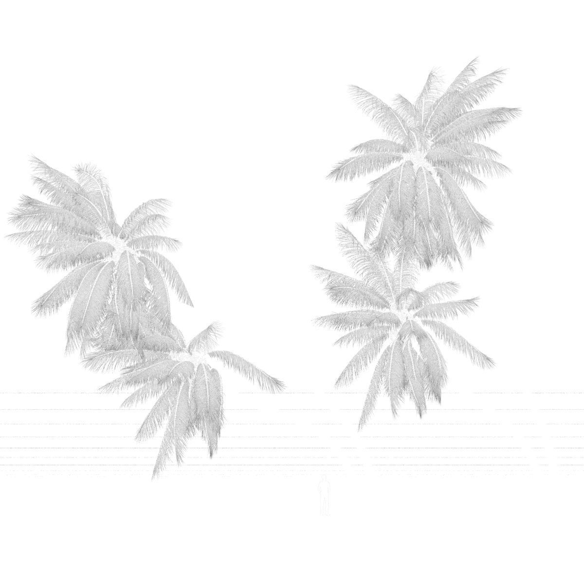 COCONUT TREE VOLUME PACK 02 - GFX INCLUDED 3D model_25