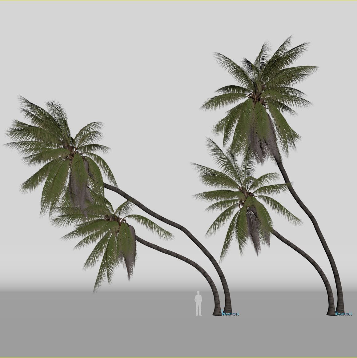 COCONUT TREE VOLUME PACK 02 - GFX INCLUDED 3D model_26