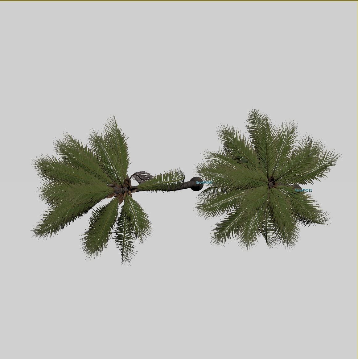 COCONUT TREE VOLUME PACK 02 - GFX INCLUDED 3D model_15