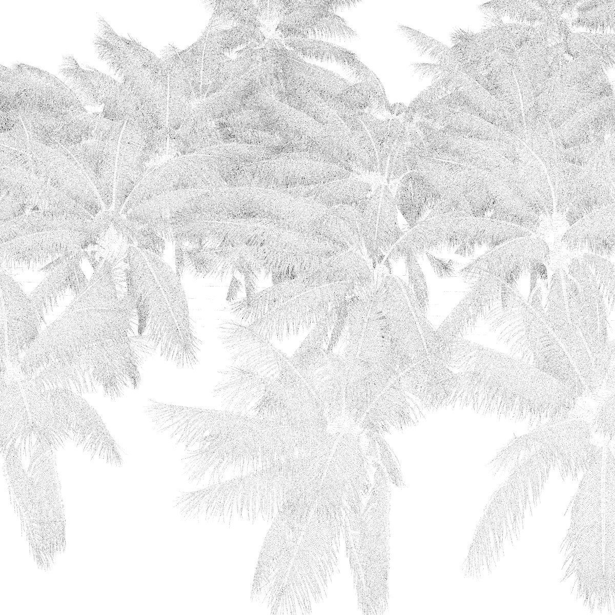 COCONUT TREE VOLUME PACK 02 - GFX INCLUDED 3D model_3