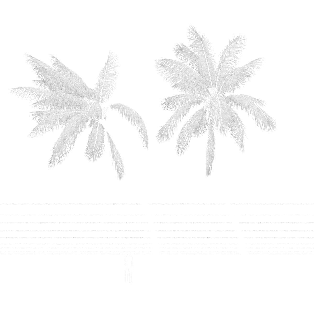 COCONUT TREE VOLUME PACK 02 - GFX INCLUDED 3D model_18
