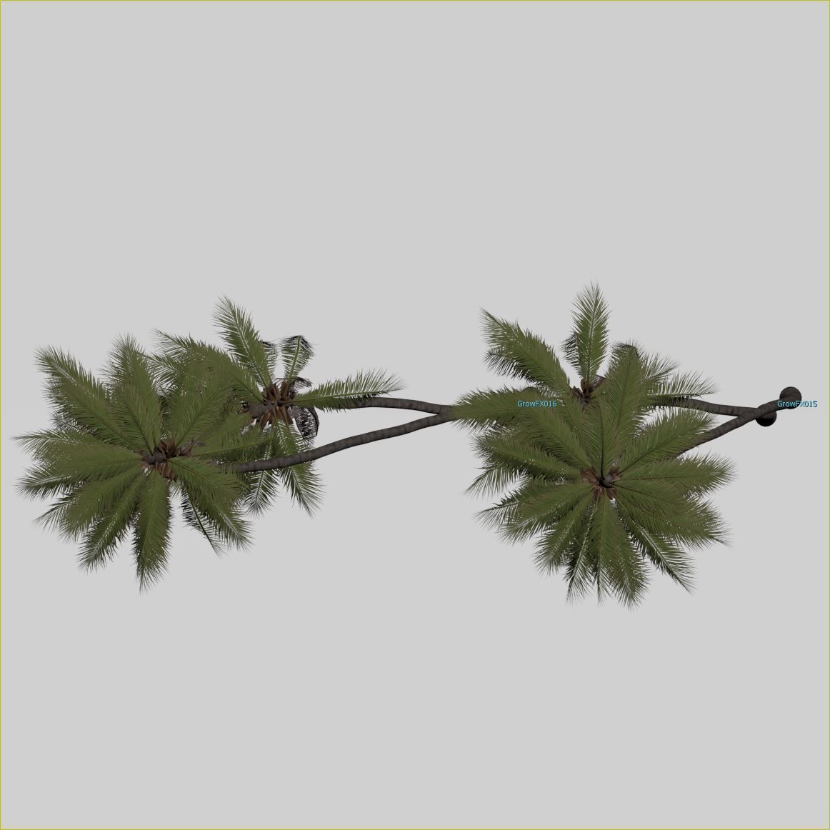 COCONUT TREE VOLUME PACK 02 - GFX INCLUDED 3D model_27