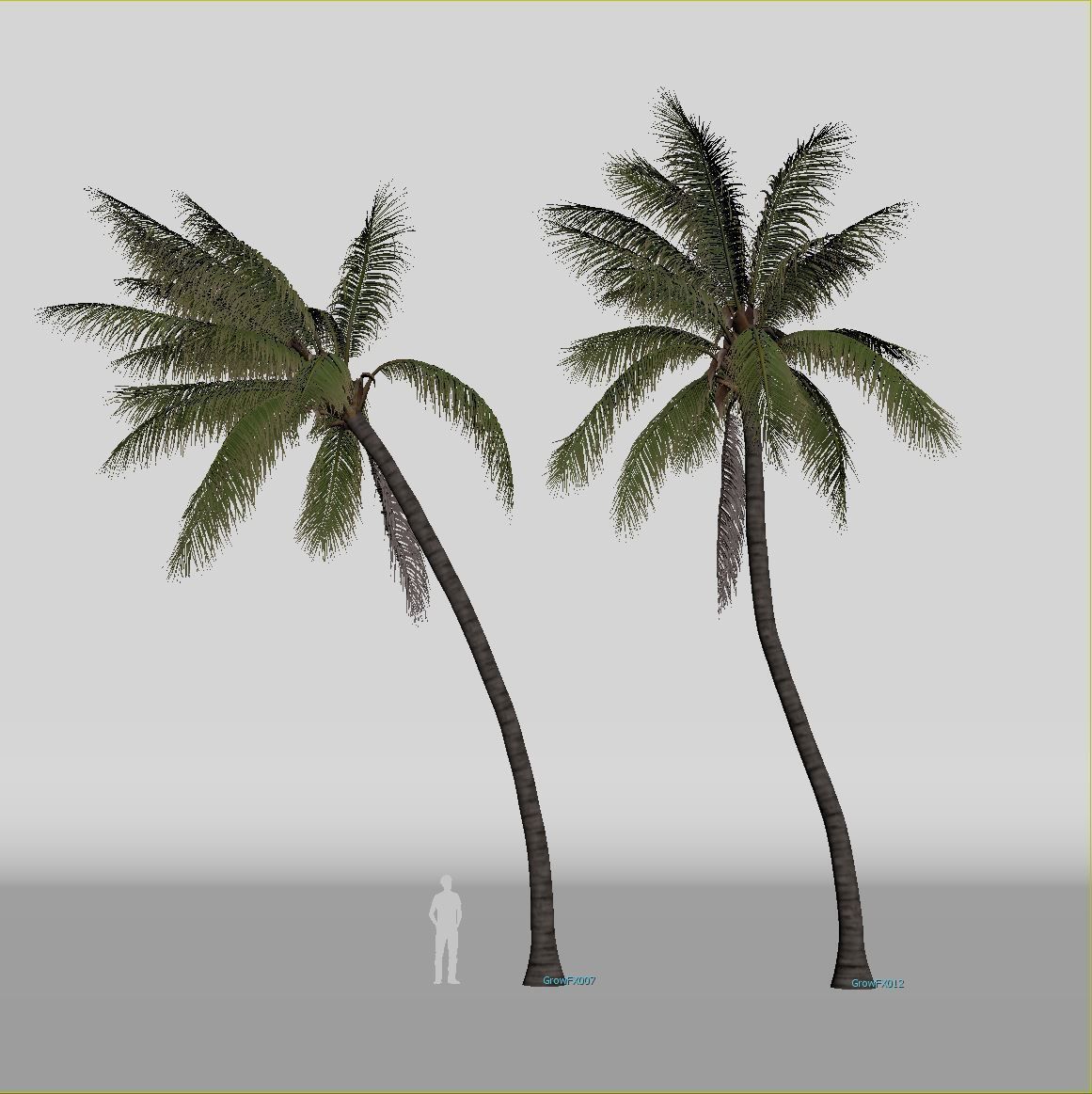 COCONUT TREE VOLUME PACK 02 - GFX INCLUDED 3D model_14