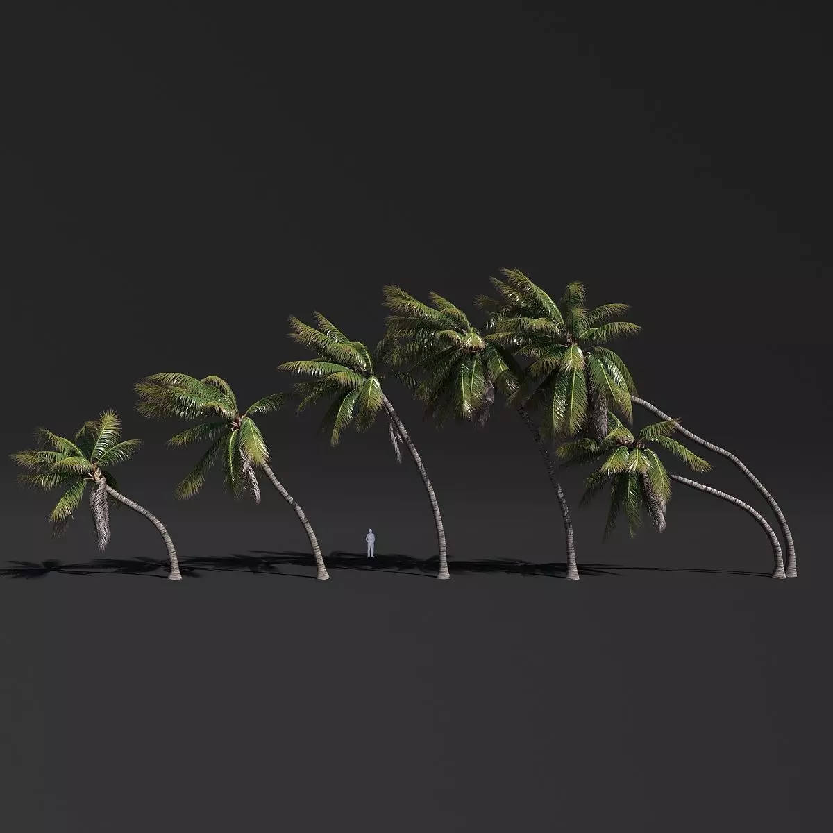COCONUT TREE VOLUME PACK 02 - GFX INCLUDED 3D model_0