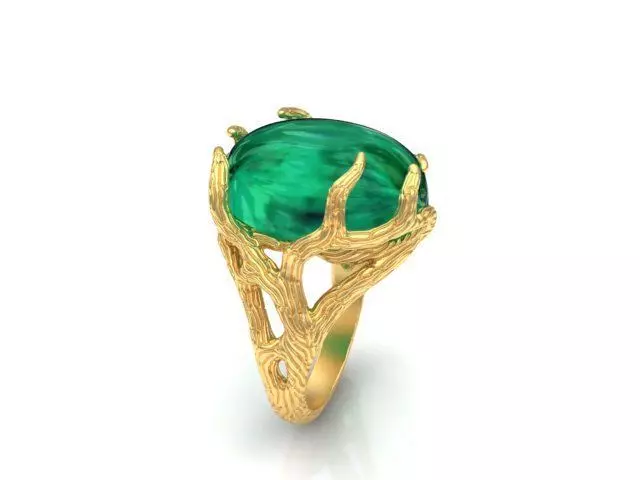 ring texture wood 3D print model_0