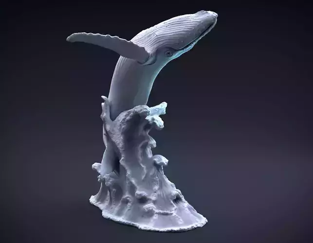 Humpback whale jumping intended for 3D printing 3D print model