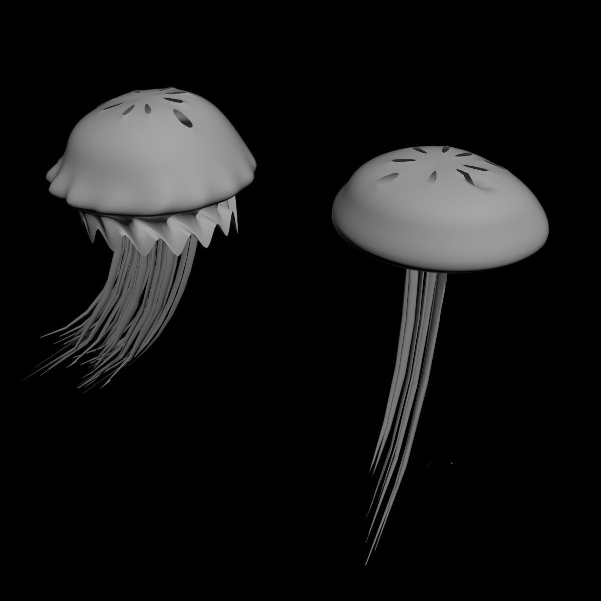 Jellyfish two 3D model_5