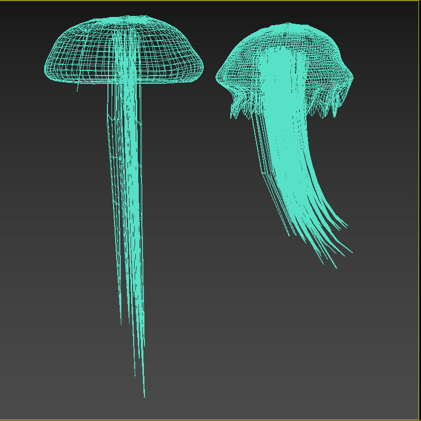 Jellyfish two 3D model_10