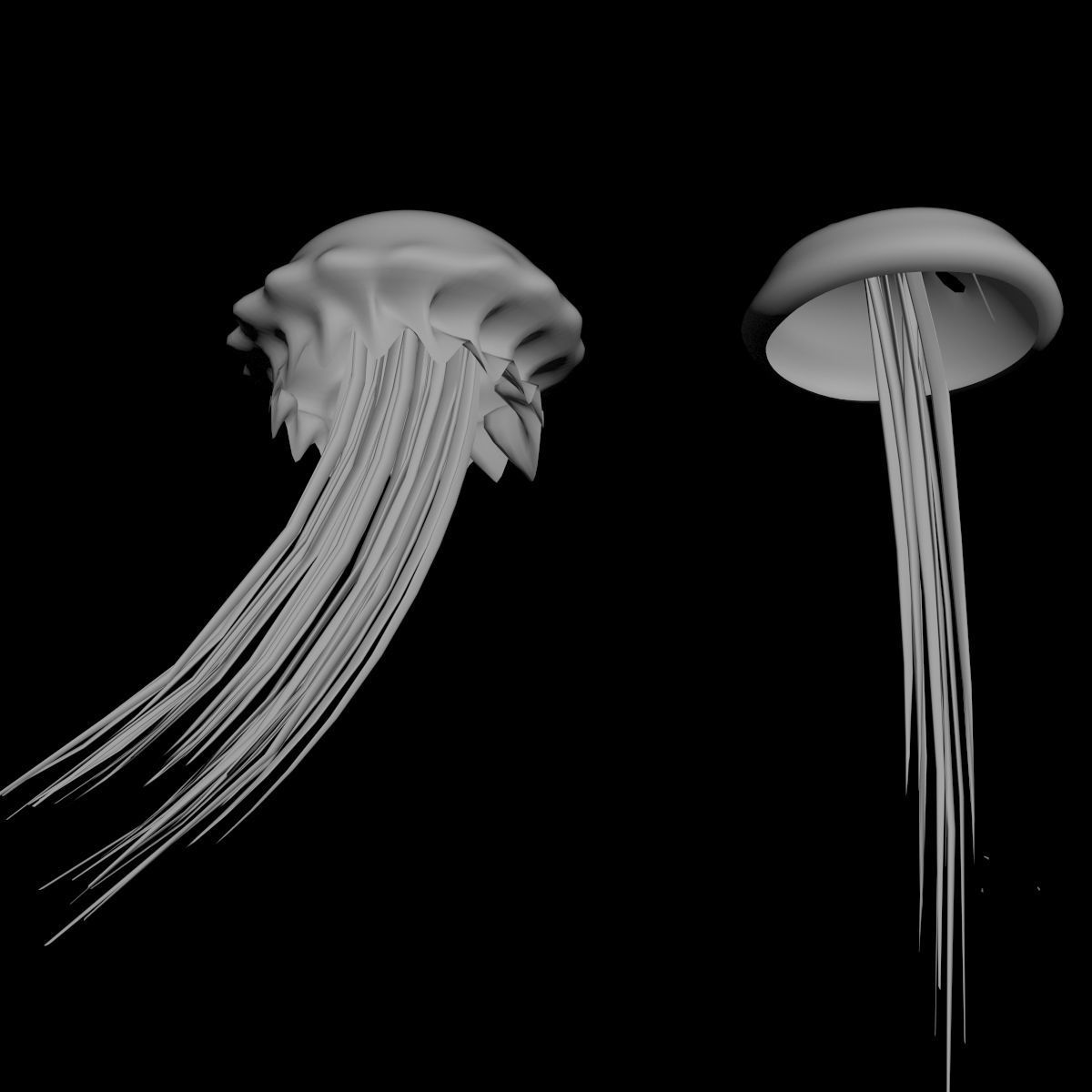 Jellyfish two 3D model_6