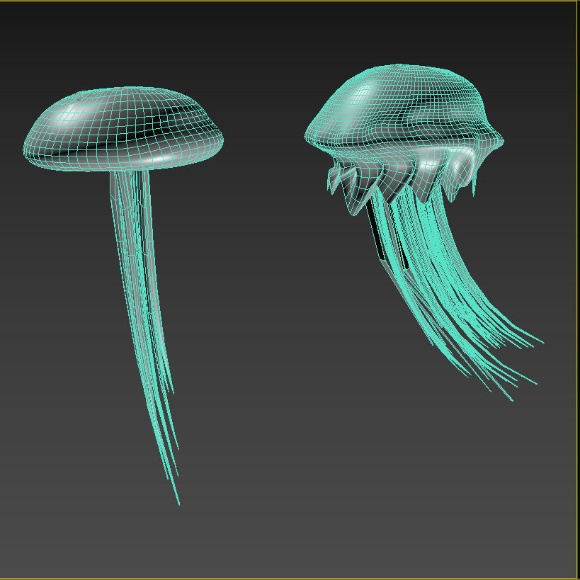 Jellyfish two 3D model_8