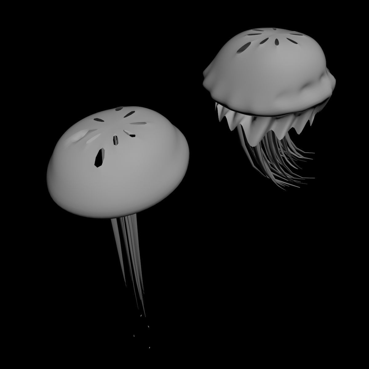 Jellyfish two 3D model_7