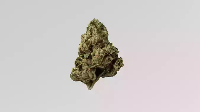 Cannabis Marijuana Weed Bud 3D model