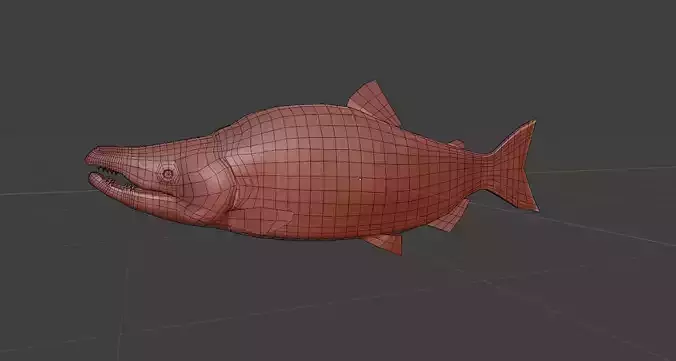 Salmon low poly fish