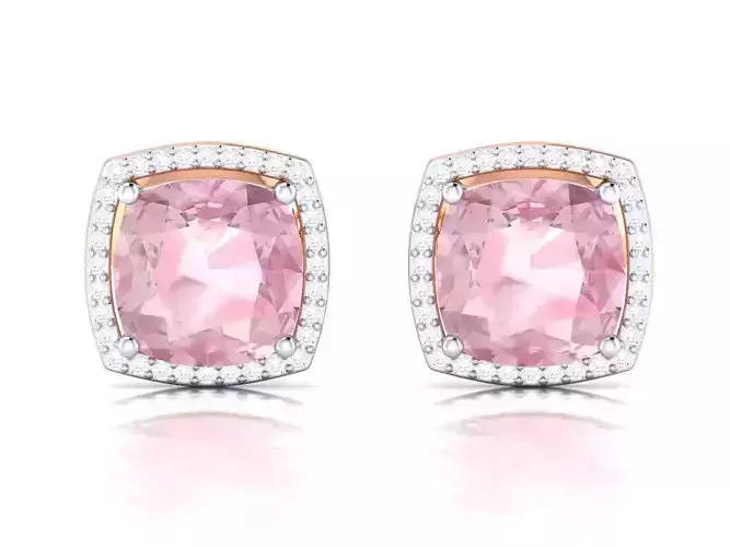 Earrings - ENS-11 ER