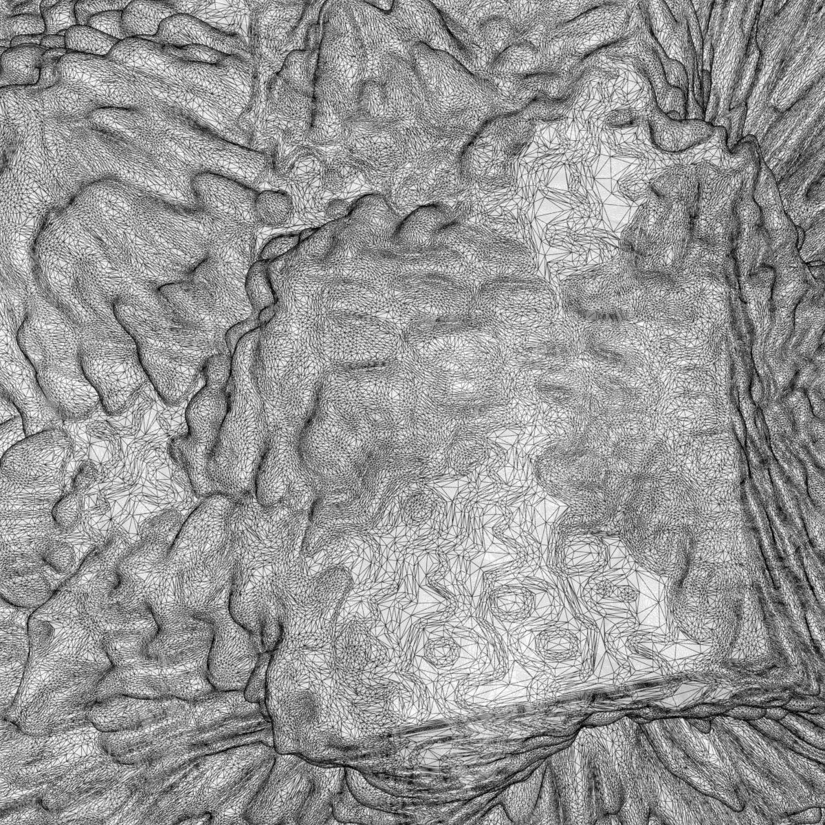 Screaming Frame 3D model_1