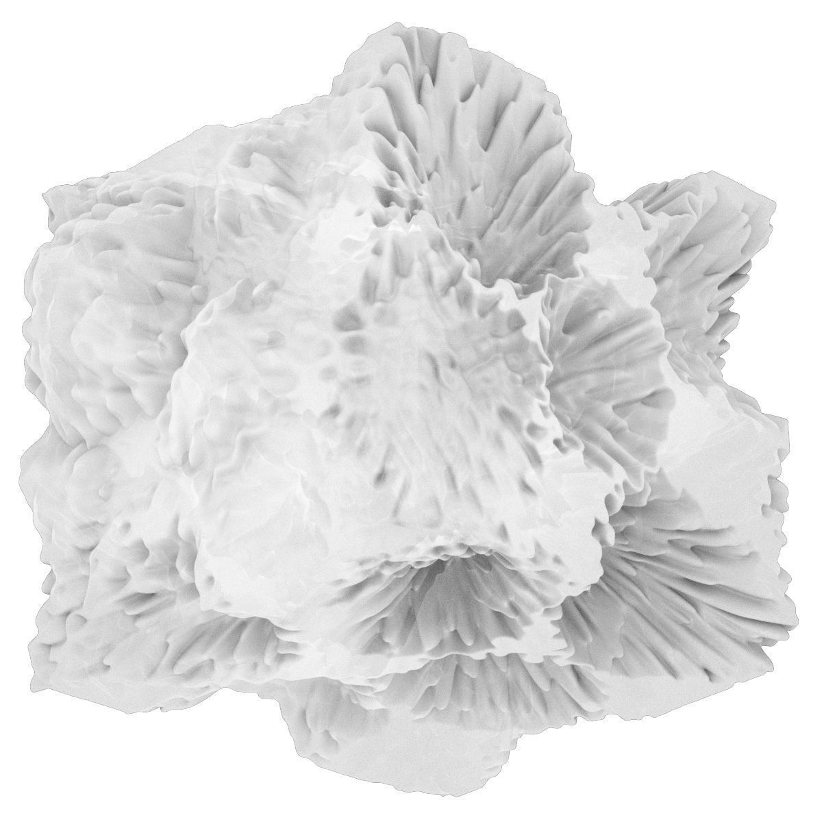 Screaming Frame 3D model_3