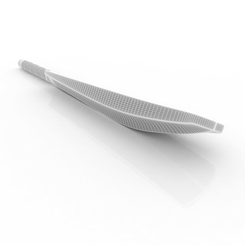 Kookaburra Cricket Bat 3D model_12