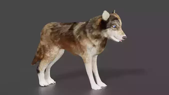 wolf 3d Low-poly 3D model