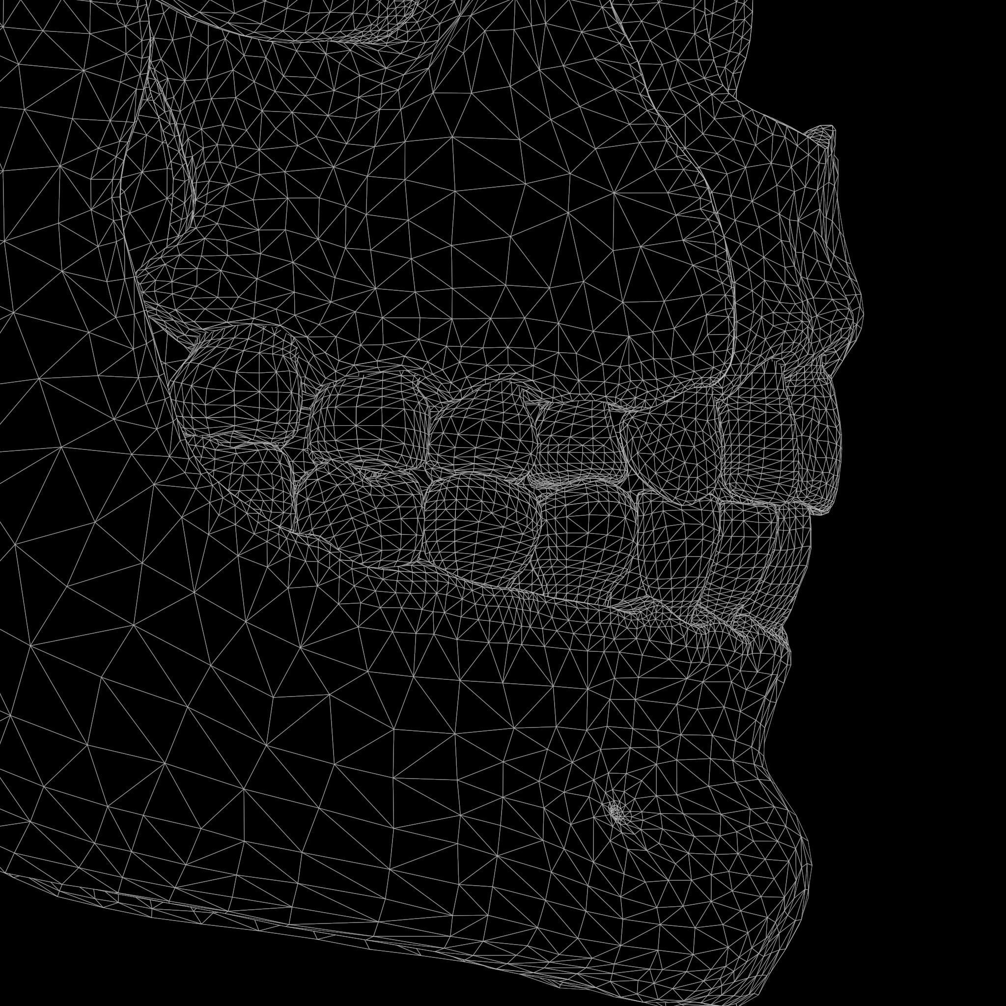 Tooth Structure Bone Anatomy  Low-poly 3D model_11