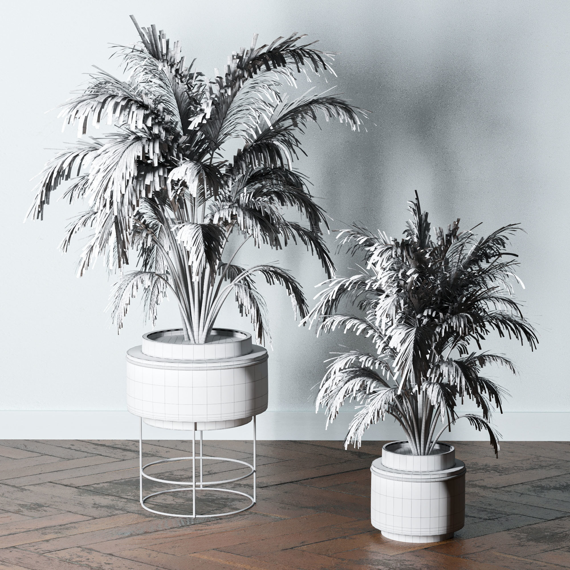 Indoor Plants-Fern set Low-poly 3D model_6
