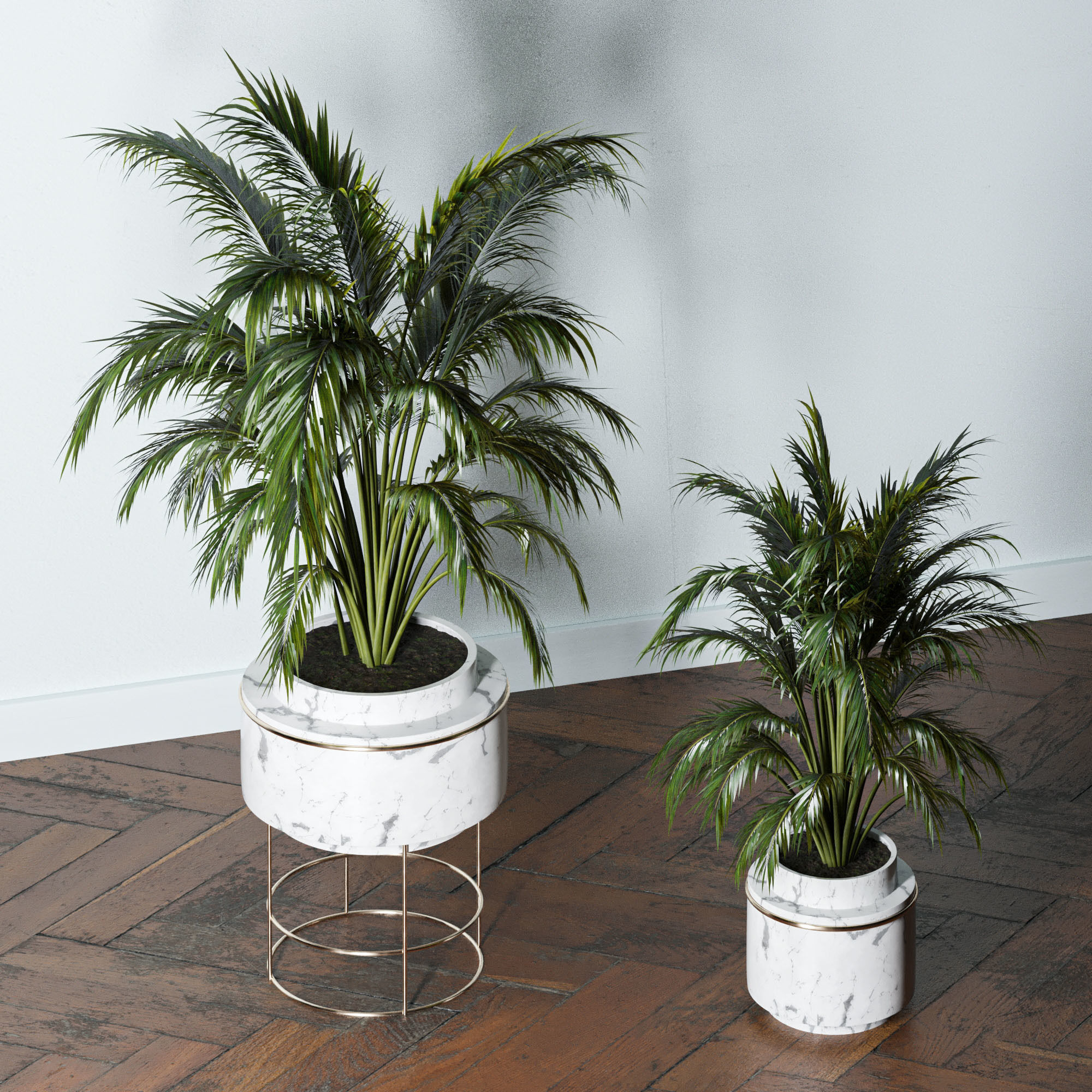 Indoor Plants-Fern set Low-poly 3D model_2