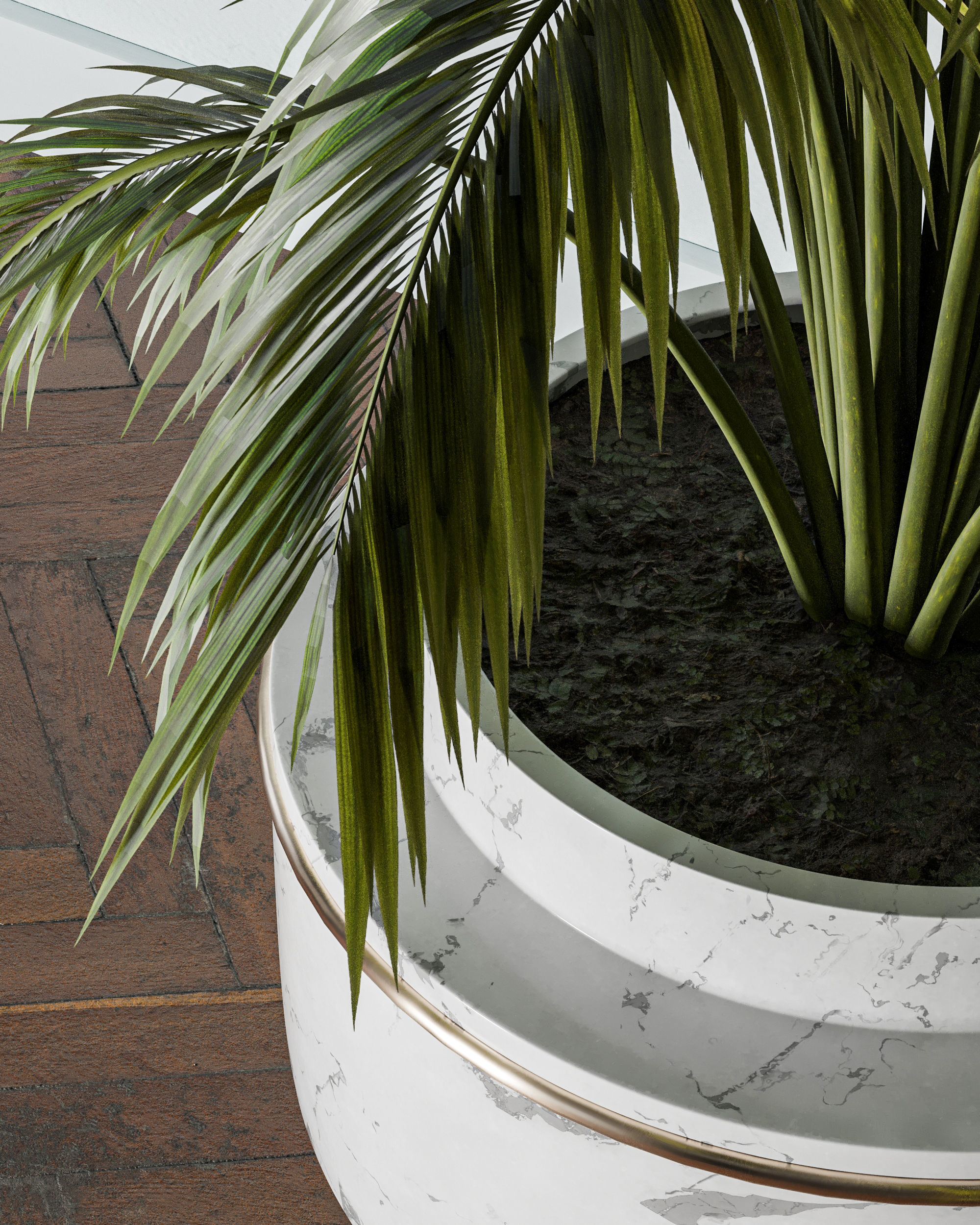 Indoor Plants-Fern set Low-poly 3D model_4
