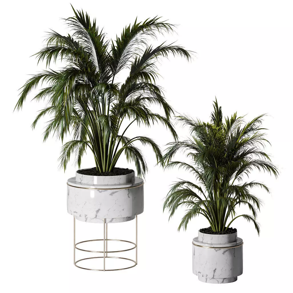Indoor Plants-Fern set Low-poly 3D model_0