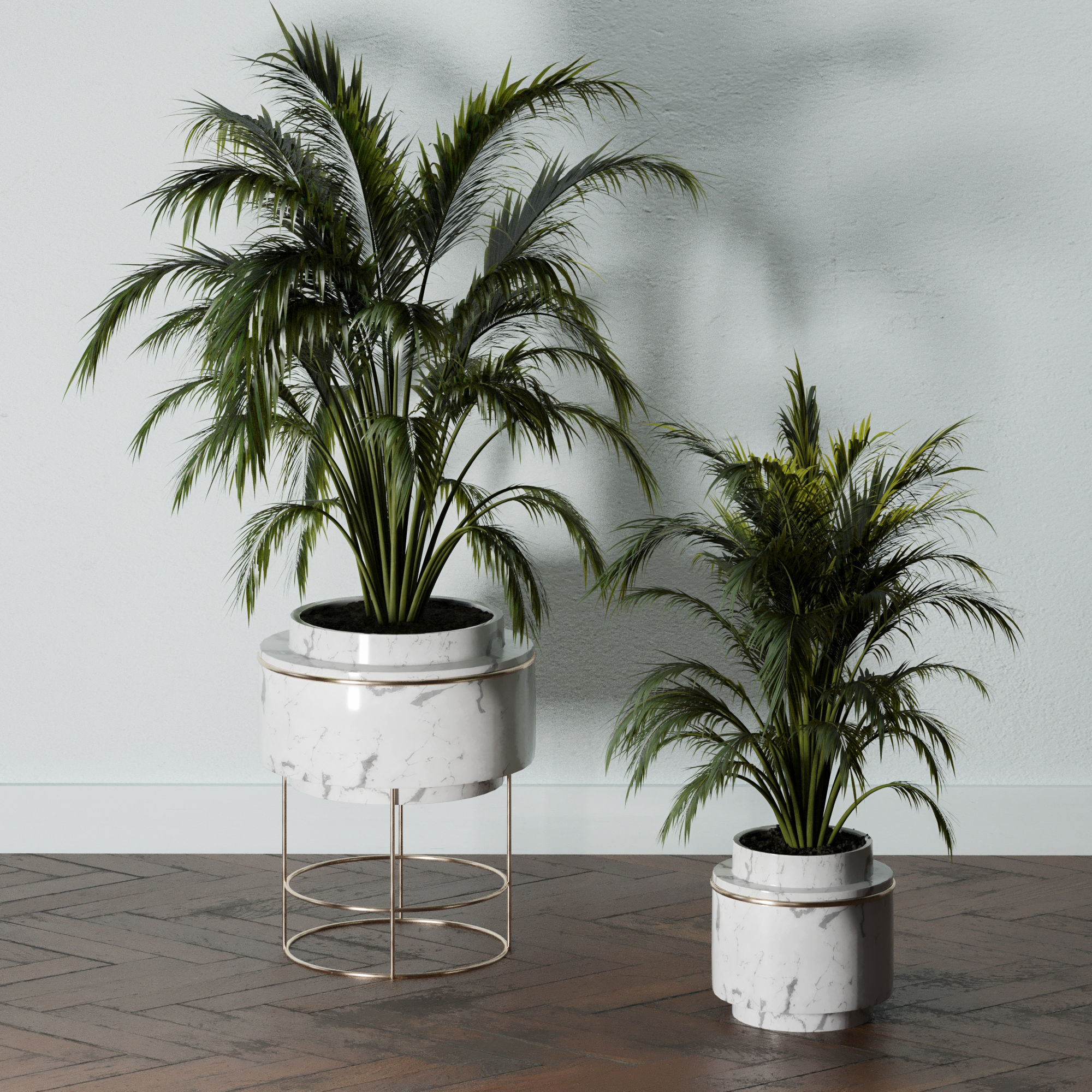 Indoor Plants-Fern set Low-poly 3D model_1
