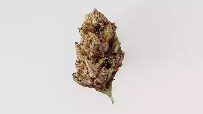 Cannabis Marijuana Weed Bud 02 3D model