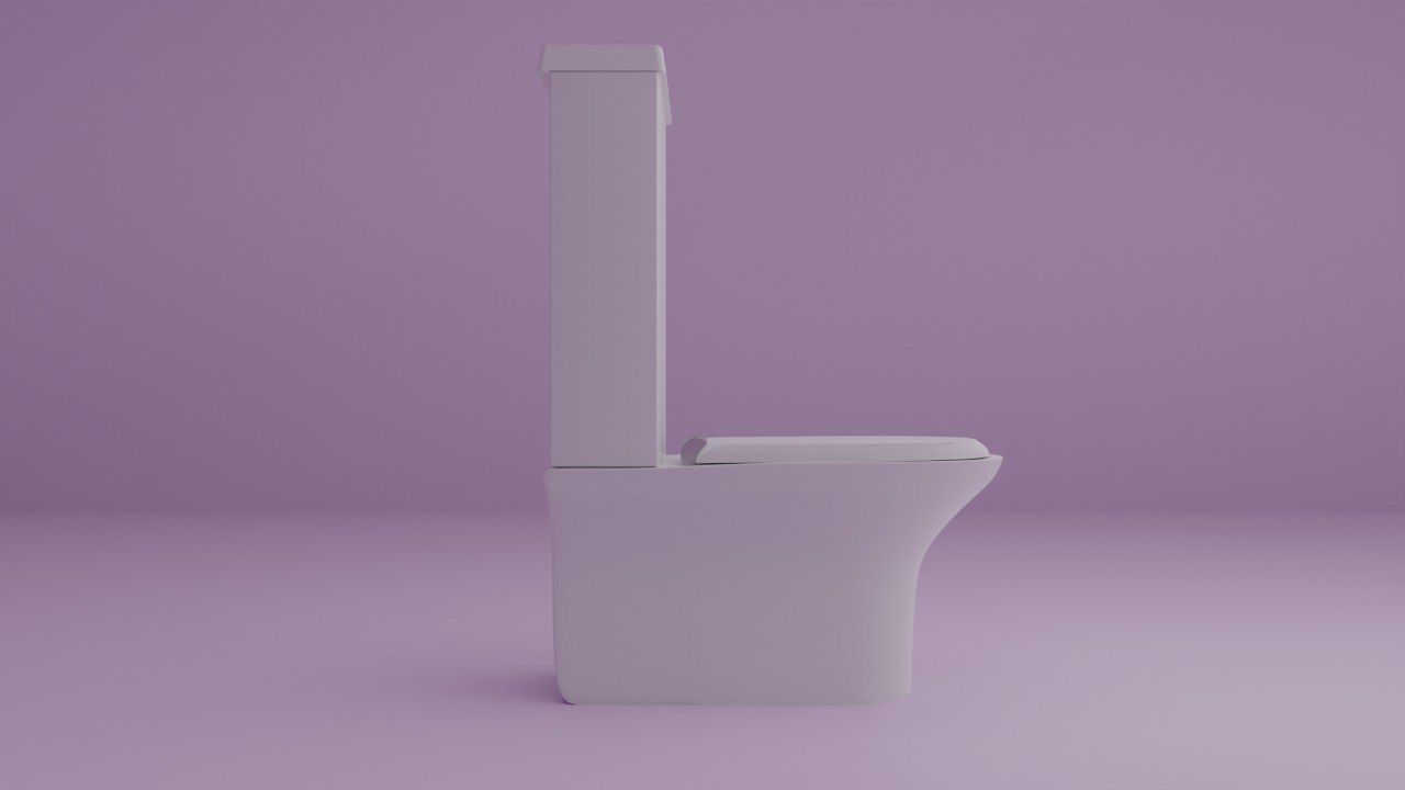 Toilet Free 3D model_3