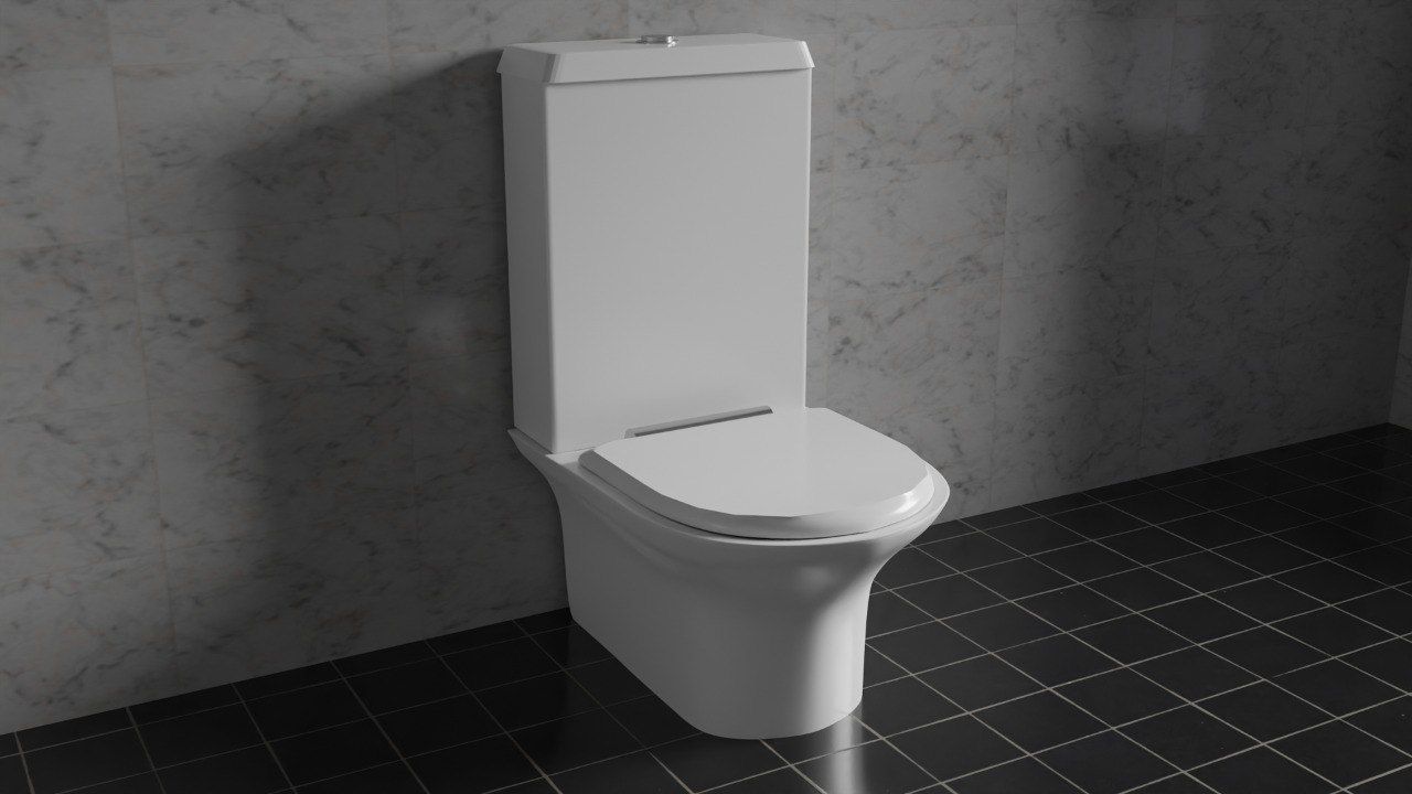 Toilet Free 3D model_2