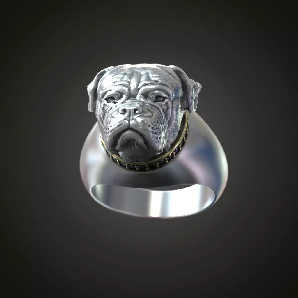 American Bulldog  ring   3D print model_0