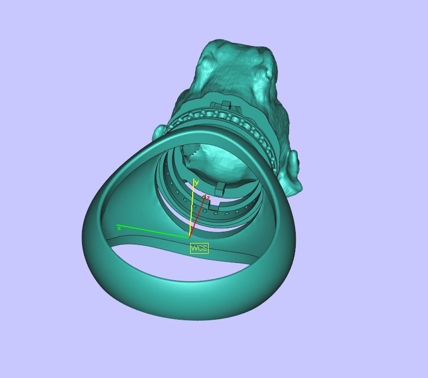 American Bulldog  ring   3D print model_4