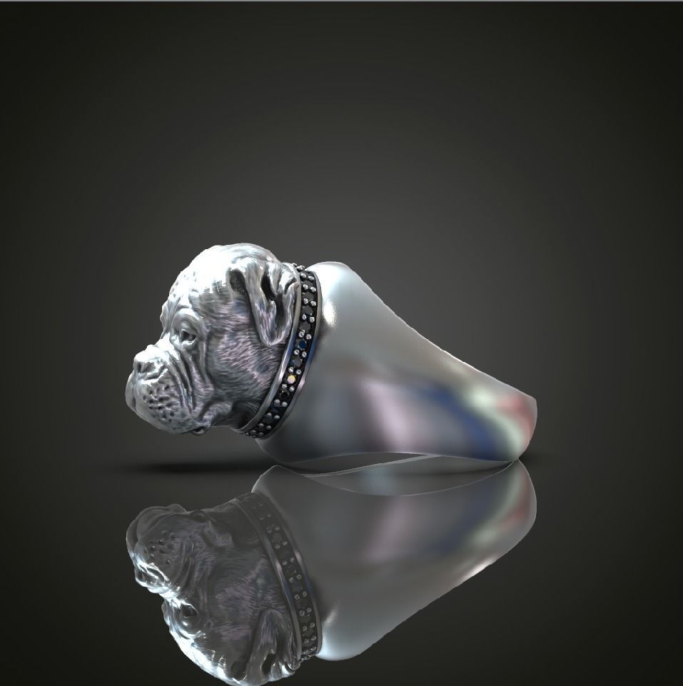 American Bulldog  ring   3D print model_3