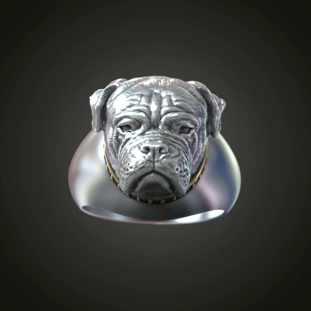 American Bulldog  ring   3D print model_1