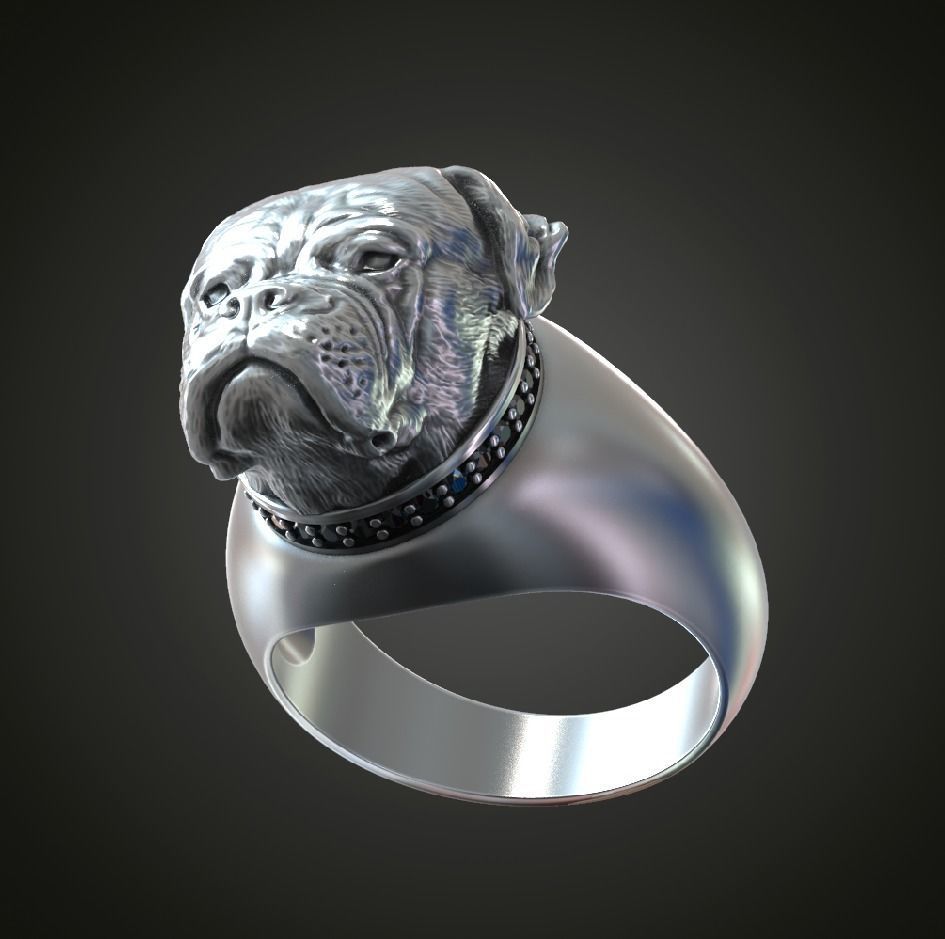 American Bulldog  ring   3D print model_2