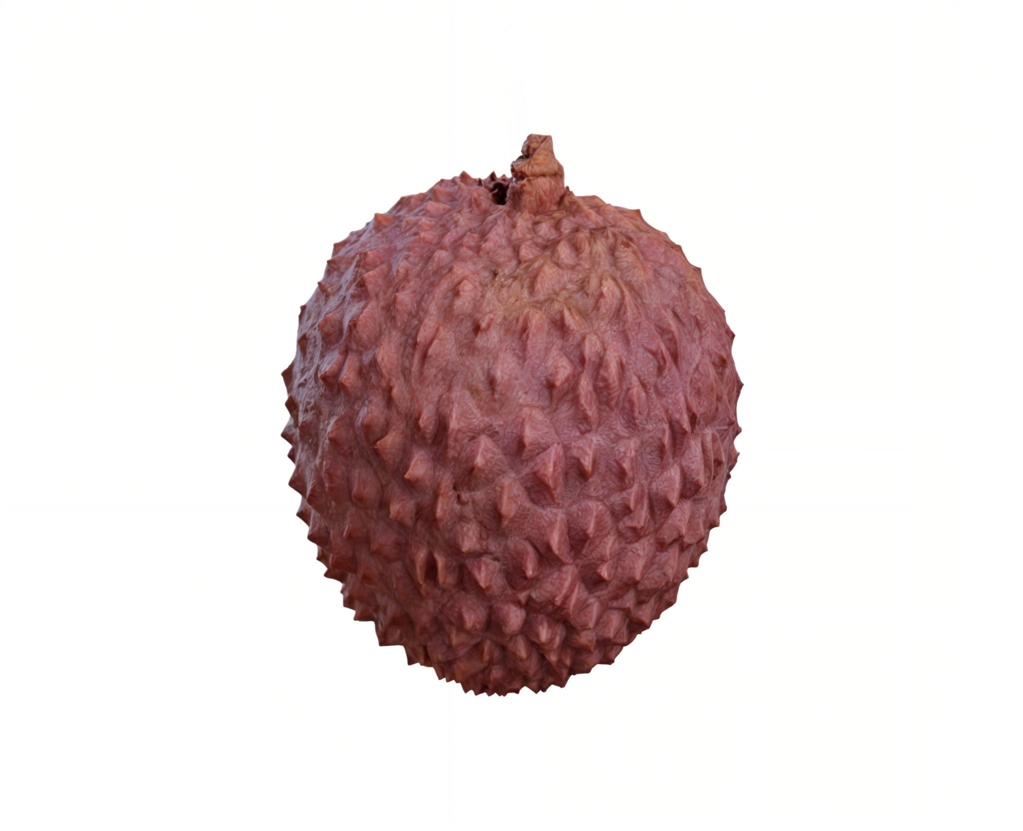 fruit  3D model_5
