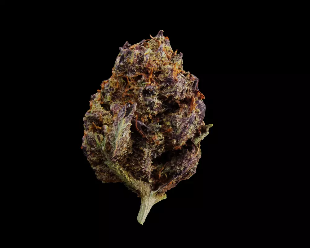 Cannabis Marijuana Weed Bud 03 3D model_0