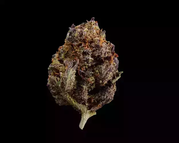 Cannabis Marijuana Weed Bud 03 3D model