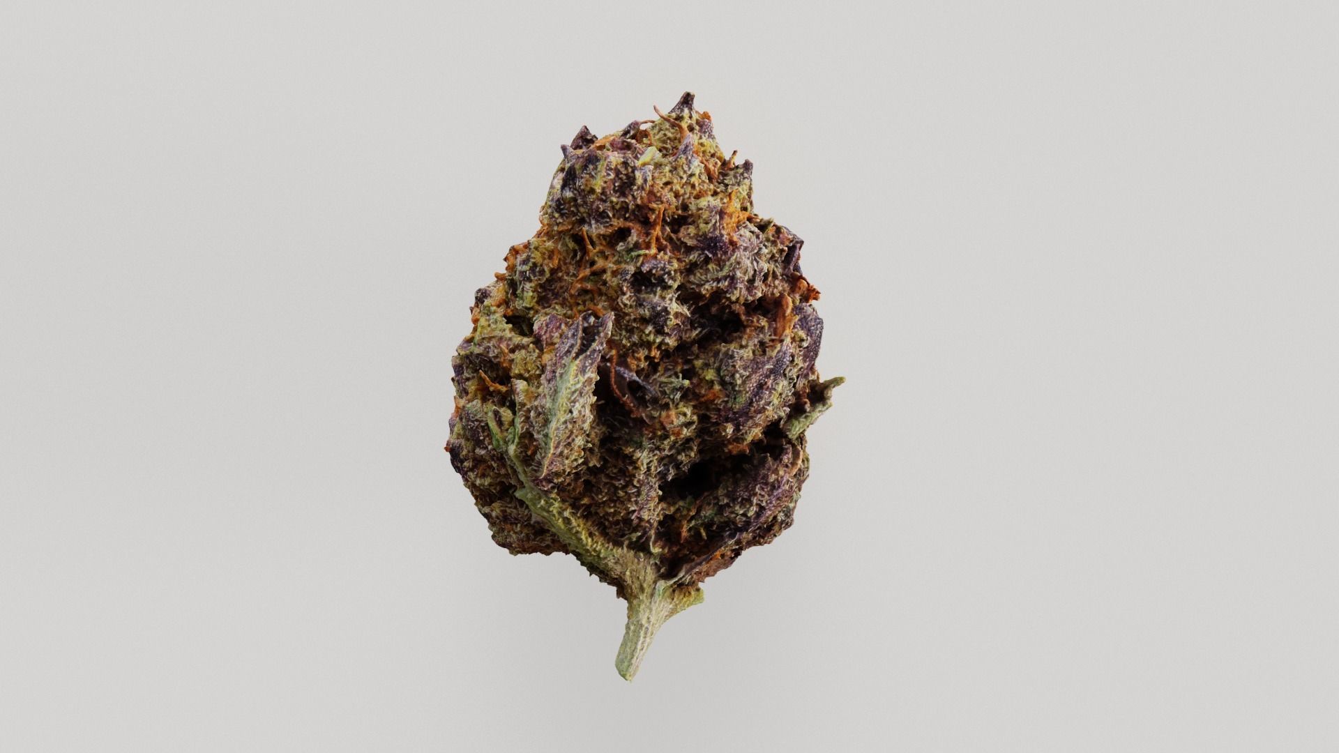 Cannabis Marijuana Weed Bud 03 3D model_1