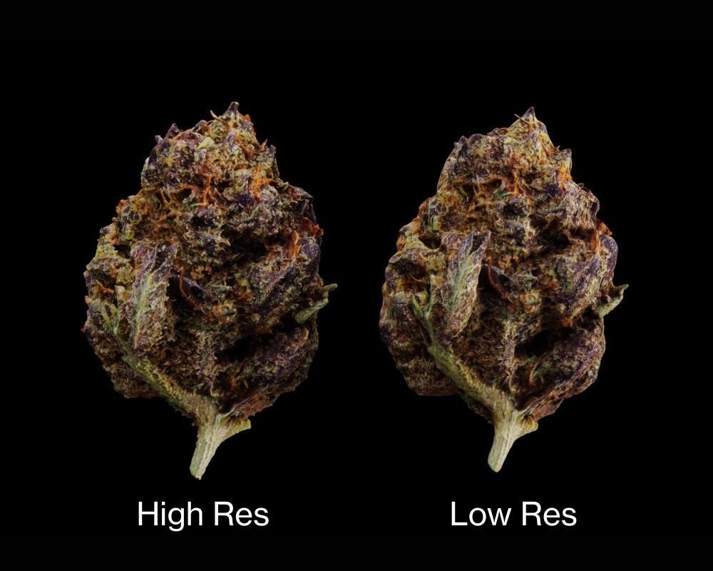 Cannabis Marijuana Weed Bud 03 3D model_2