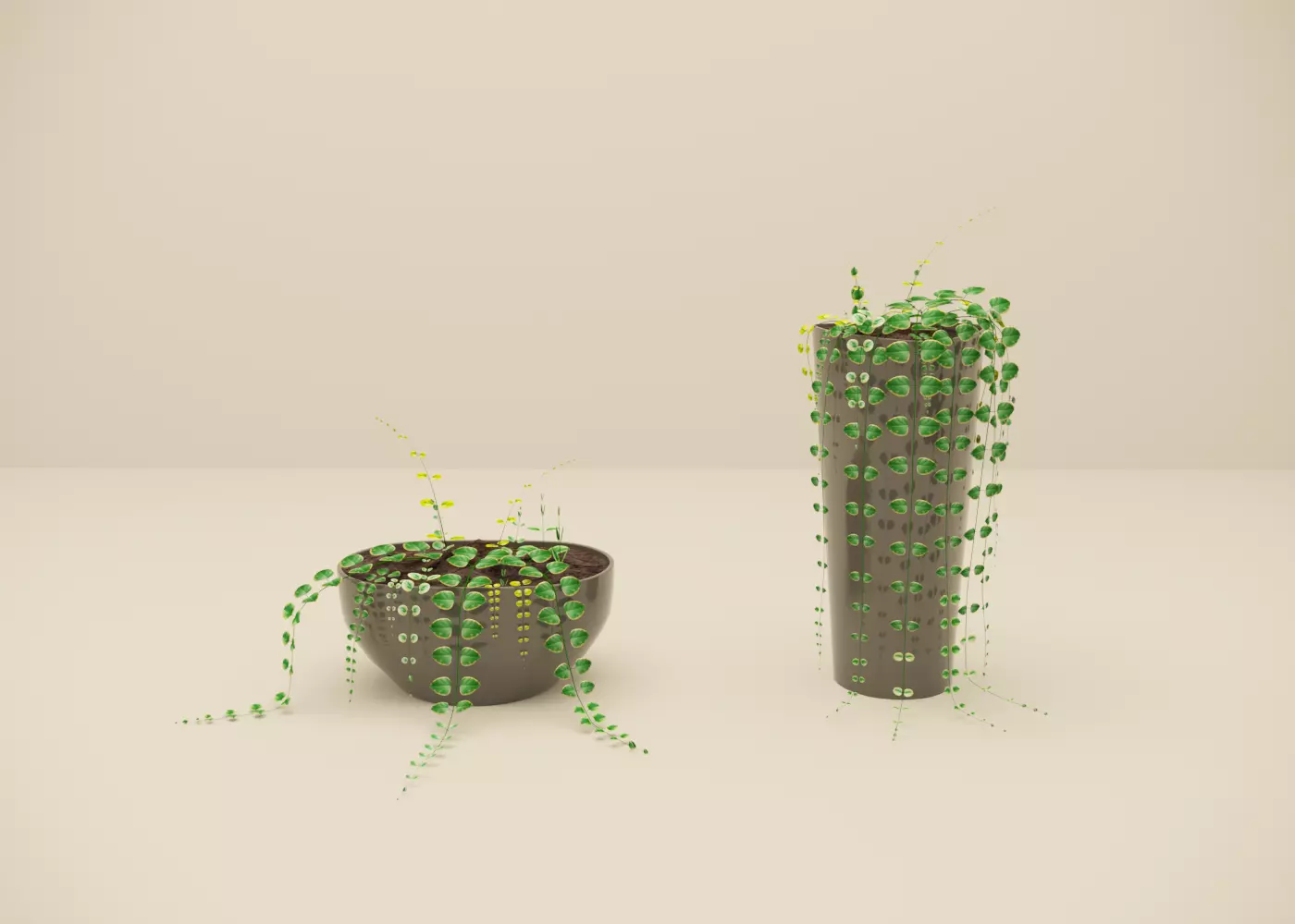 Indoor plants for You 3D model