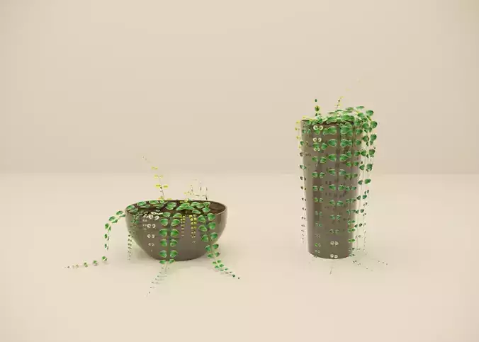 Indoor plants for You 3D model