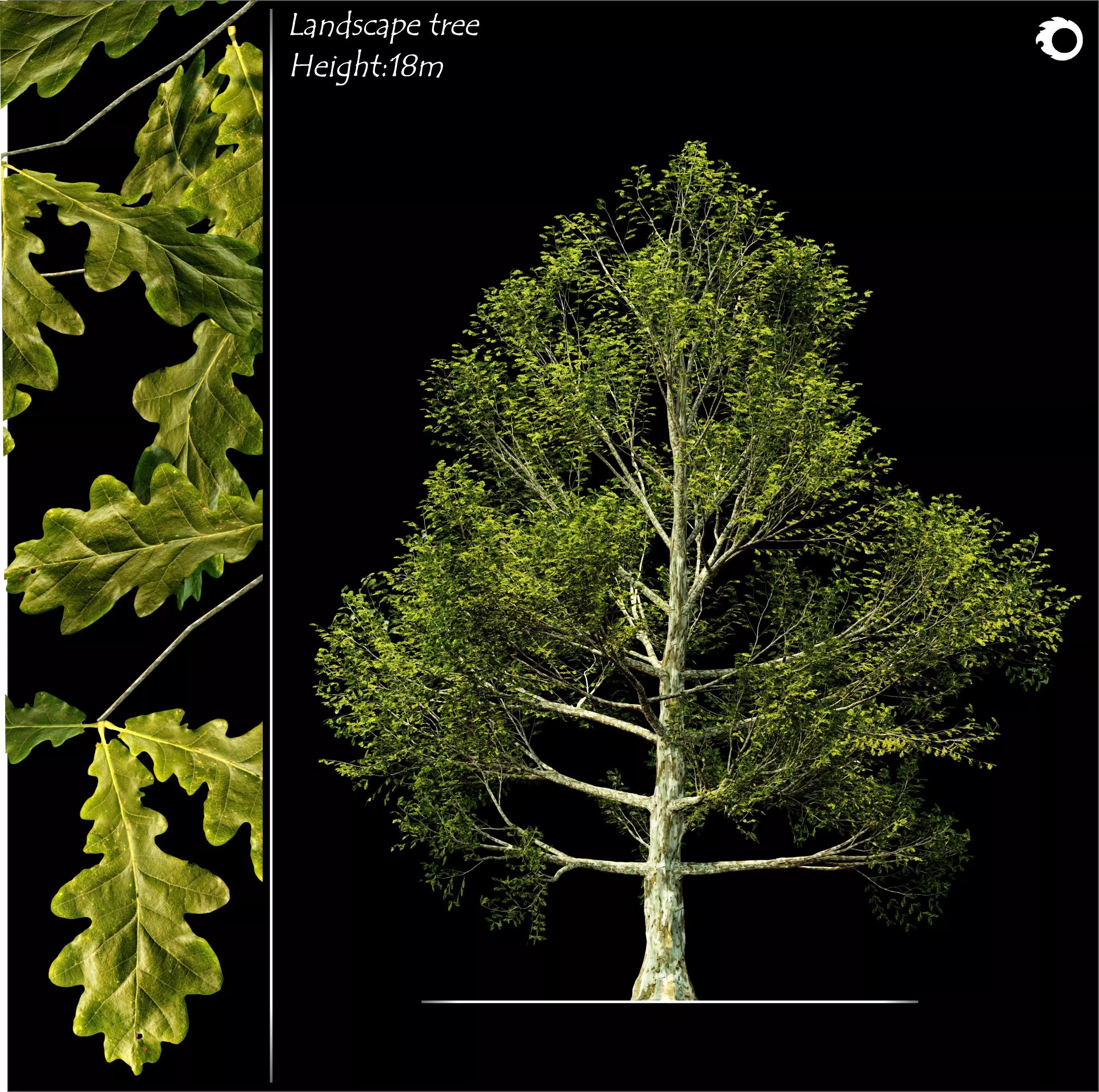 Landscape tree 3D model_0