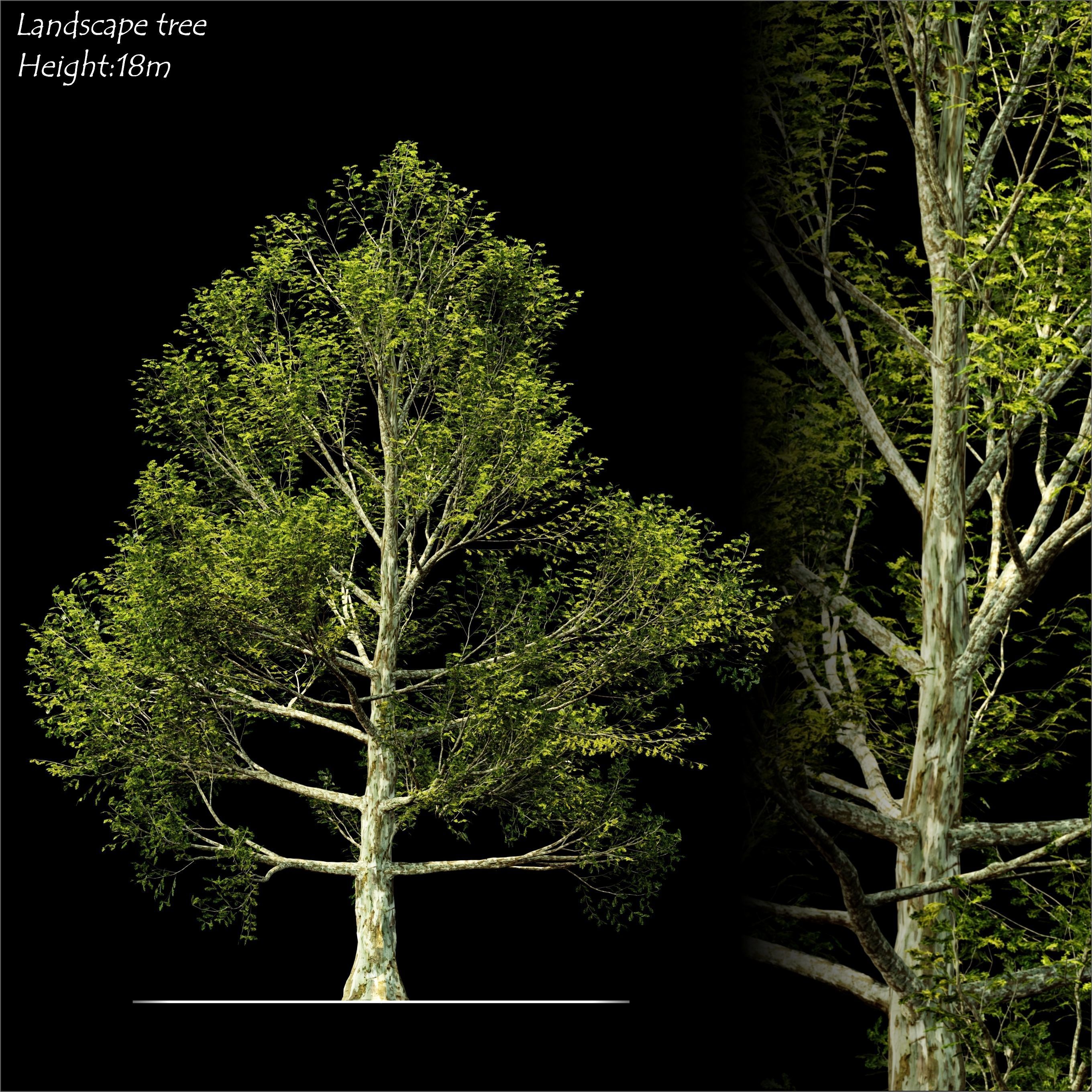 Landscape tree 3D model_1